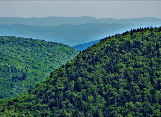 new-york/catskill-mountains/attraction/rusk-mountain