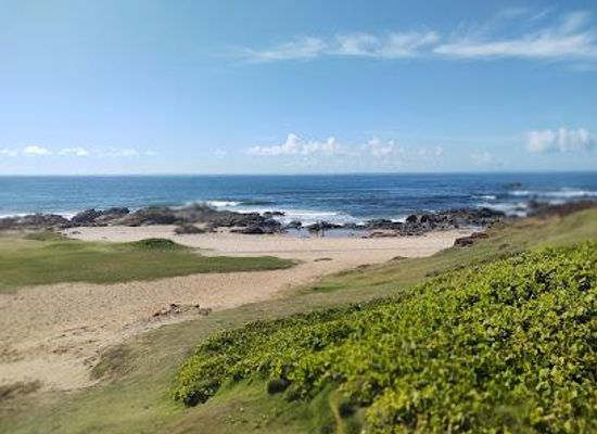 brazil/salvador/attraction/praia-de-armacao