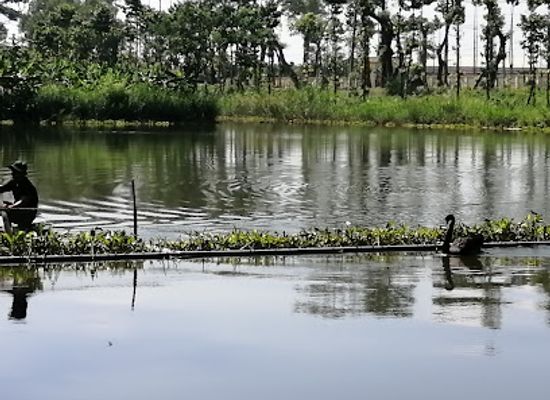vietnam/mekong-delta/attraction/dong-tam-snake-farm