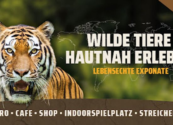 germany/baltic-sea-coast/attraction/wildlife-usedom-tropic-reptica-gmbh