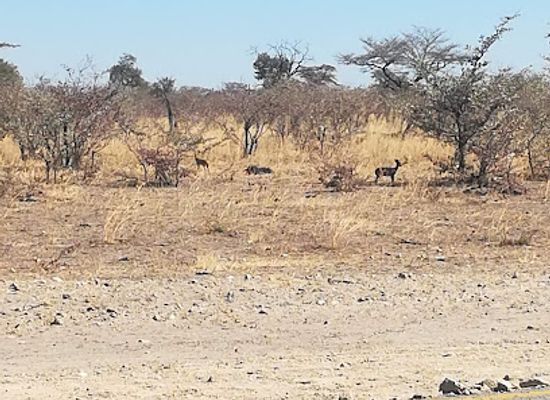 namibia/namib-desert/attraction/mudumu-national-park