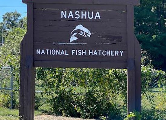 massachusetts/wachusett-mountain-ski-area/attraction/nashua-national-fish-hatchery