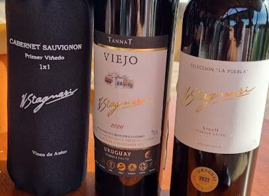 uruguay/montevideo/attraction/vinos-finos-h-stagnari