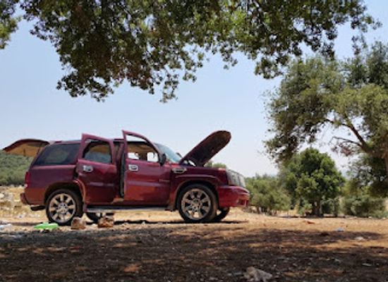 jordan/ajloun-highlands/attraction/alshakayir