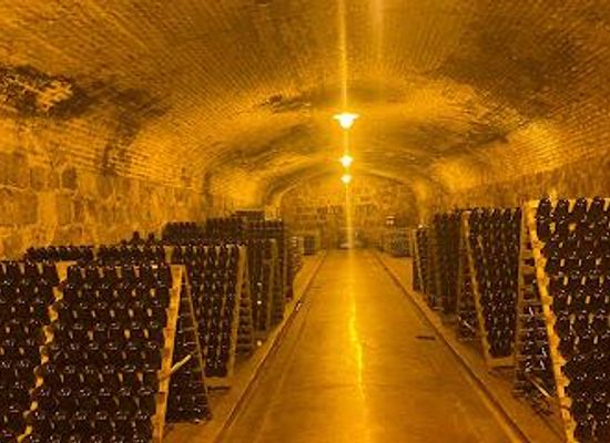argentina/cuyo/attraction/alta-vista-wines