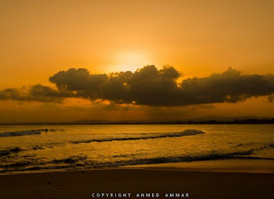 tunisia/hammamet/attraction/plage