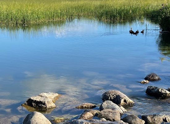 minnesota/mississippi-river/attraction/itasca-state-park