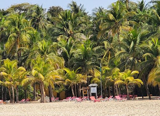 senegal/cap-skirring/attraction/plage