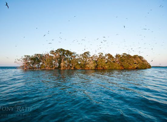 belize/belize-barrier-reef/attraction/man-o-war-caye