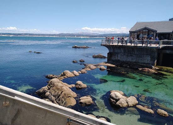 california/monterey/monterey-bay-aquarium/attraction/monterey-bay-aquarium-seafood-watch-program