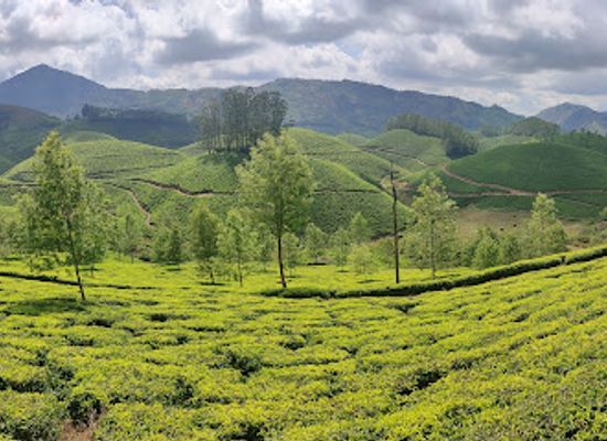india/munnar/attraction/signal-point-munnar