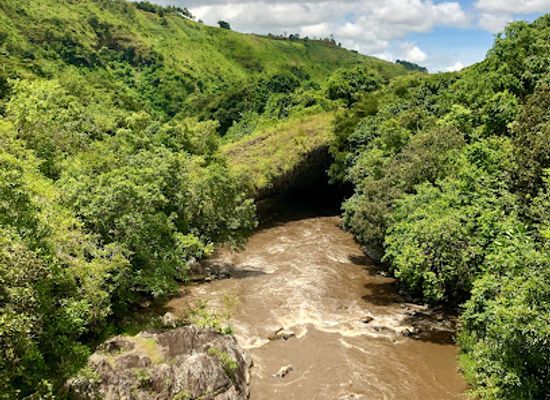 tanzania/mbeya/iyela/attraction/kiwira-god-s-bridge-daraja-la-mungu-kiwira