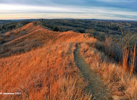 nebraska/loess-hills/attraction/loess-hills-scenic-overlook