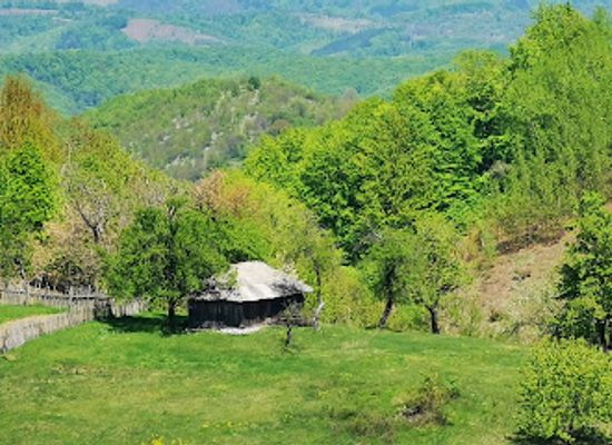 romania/mehedinti/attraction/lilac-forest