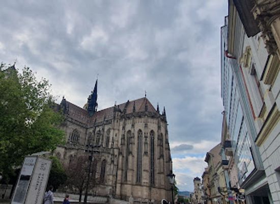 slovakia/kosice/attraction/trixen-park-kosice
