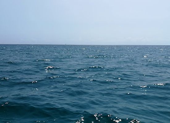 kenya/eastern-region/attraction/watamu-marine-national-park