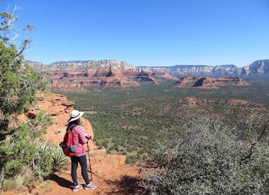 arizona/coconino-national-forest/attraction/bear-mountain-trailhead