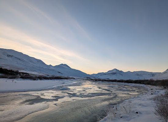 iceland/northwestern-region/attraction/hanefsstadaskogur-hengibru