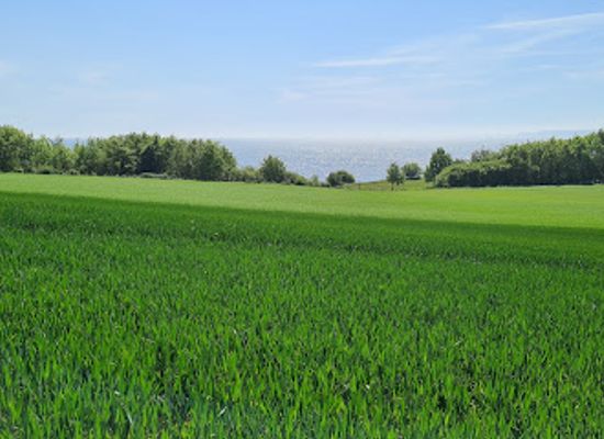 germany/rugen-island/attraction/furstensteingrab