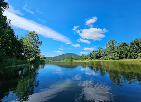 maryland/appalachian-plateau/attraction/indian-springs-wildlife-management-area