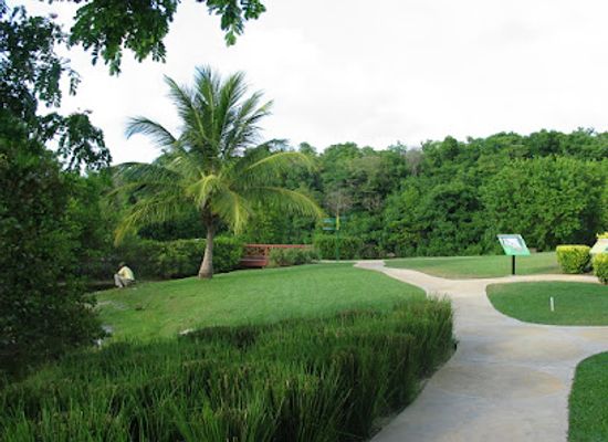 barbados/saint-peter/attraction/graeme-hall-wildlife-sanctuary-barbados