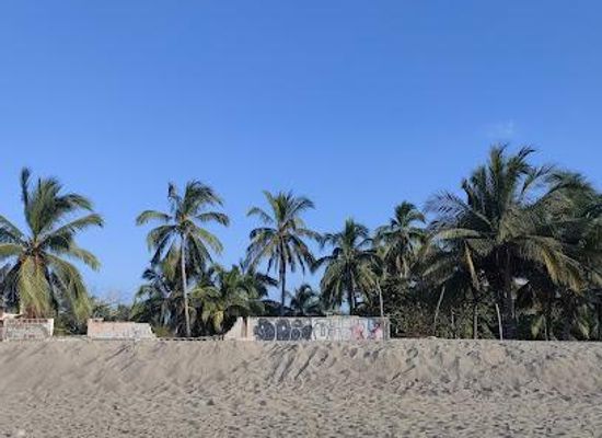 mexico/western-mexico/attraction/lo-de-marcos