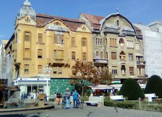 romania/timis/attraction/cetate