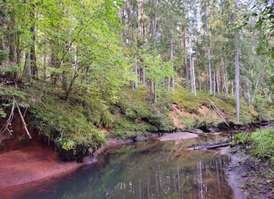 estonia/valga/attraction/pedeles-sarkanas-klintis
