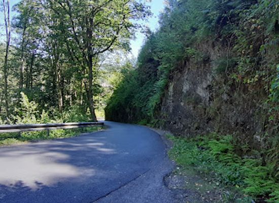 belgium/ardennes/attraction/sources-du-moulin-de-la-pile
