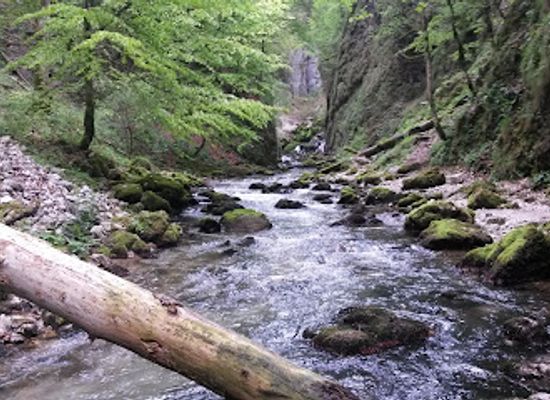 romania/apuseni-mountains/attraction/cascada-evantai