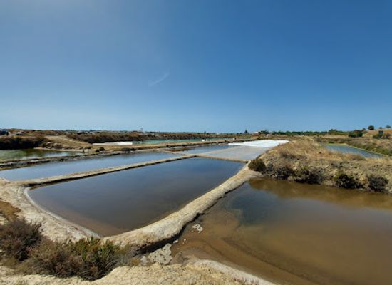 portugal/algarve/attraction/castro-marim-and-vila-real-de-santo-antonio-marsh-natural-reserve