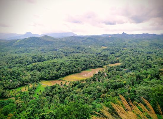 sri-lanka/kegalle-district/attraction/meeyan-ella-waterfall-ihalakotte