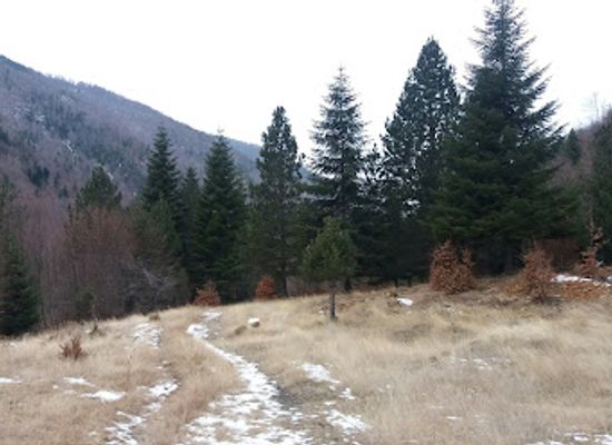 albania/kolonja/attraction/kantieri