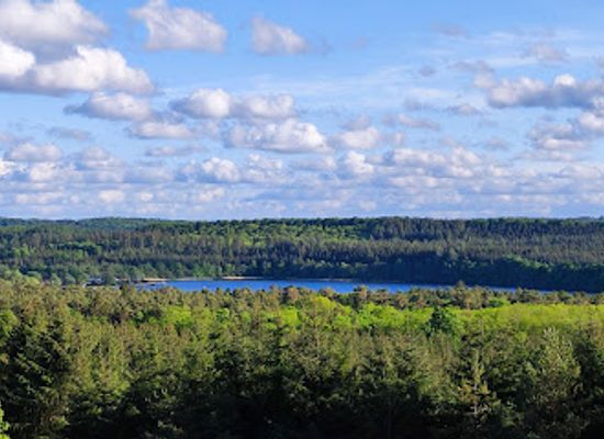 denmark/silkeborg/landmark/lovisehoj