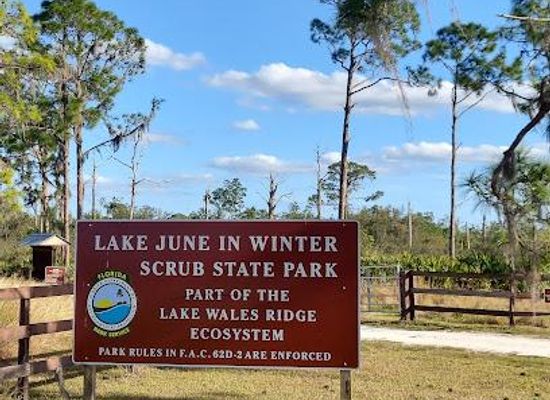 florida/sebring/attraction/lake-june-in-winter-scrub-preserve-state-park