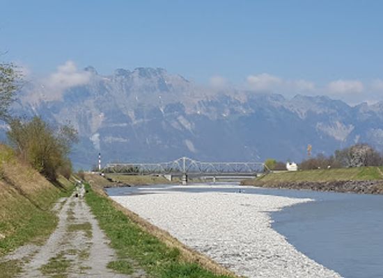 liechtenstein/schaan/attraction/ornithologischer-verein-buchs-werdenberg