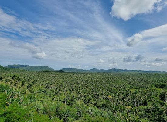 philippines/siargao/attraction/siargao-human-drones-mountain-view