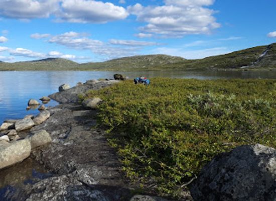 norway/oppland/attraction/djupevikodden