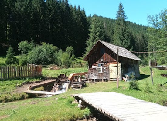 romania/maramures/attraction/muzeul-radacinilor