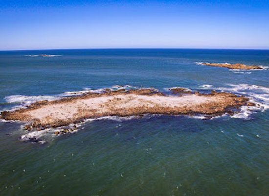 uruguay/valizas/attraction/isla-la-encantada