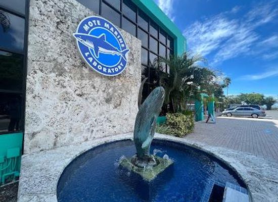 florida/sarasota/attraction/mote-marine-laboratory-aquarium