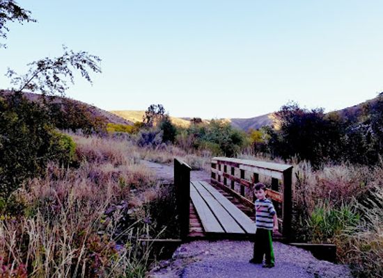 idaho/pocatello/attraction/cherry-springs-nature-area