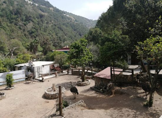 lebanon/kesserwan/attraction/animal-city