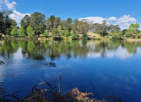 australia/southern-highlands/attraction/lake-alexandra-reserve