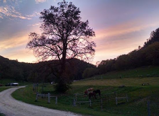 minnesota/driftless-area/attraction/outback-ranch-inc