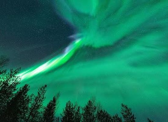 finland/rovaniemi/attraction/nordic-unique-travels