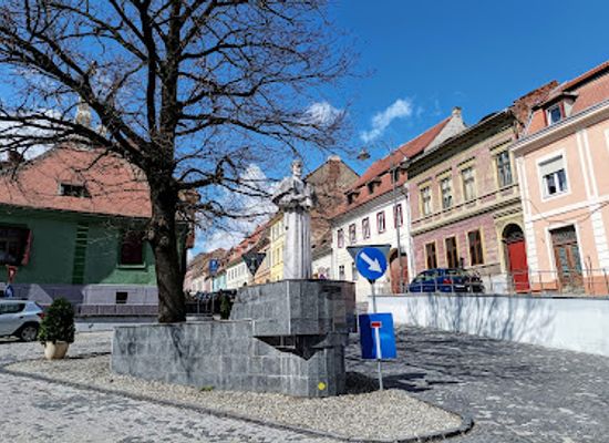 romania/sibiu/attraction/statuia-lui-nicolaus-olahus