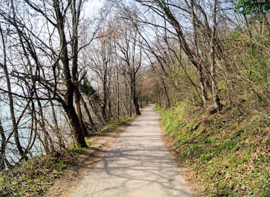 hungary/balaton-uplands/attraction/szarkadi-erdo