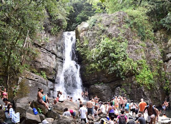 puerto-rico/el-yunque-national-forest/attraction/cascada-la-mina