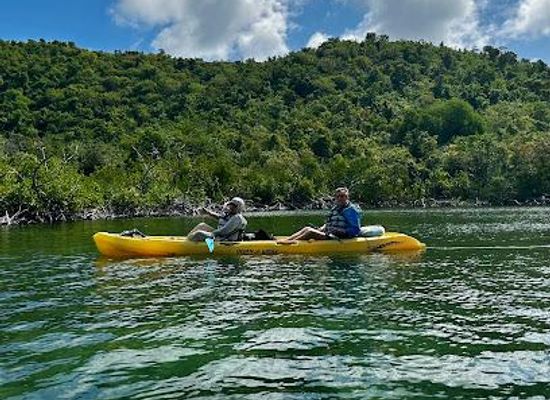 british-virgin-islands/cooper-island/attraction/hurricane-hole